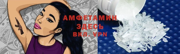 шишки Заволжск