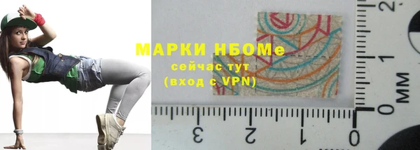 шишки Заволжск
