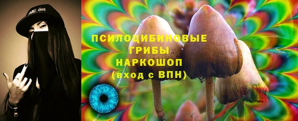apvp Заводоуковск