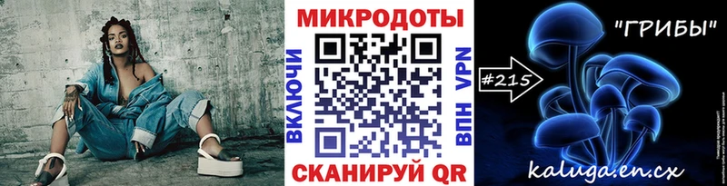 купить наркотик  Протвино  Галлюциногенные грибы MAGIC MUSHROOMS 