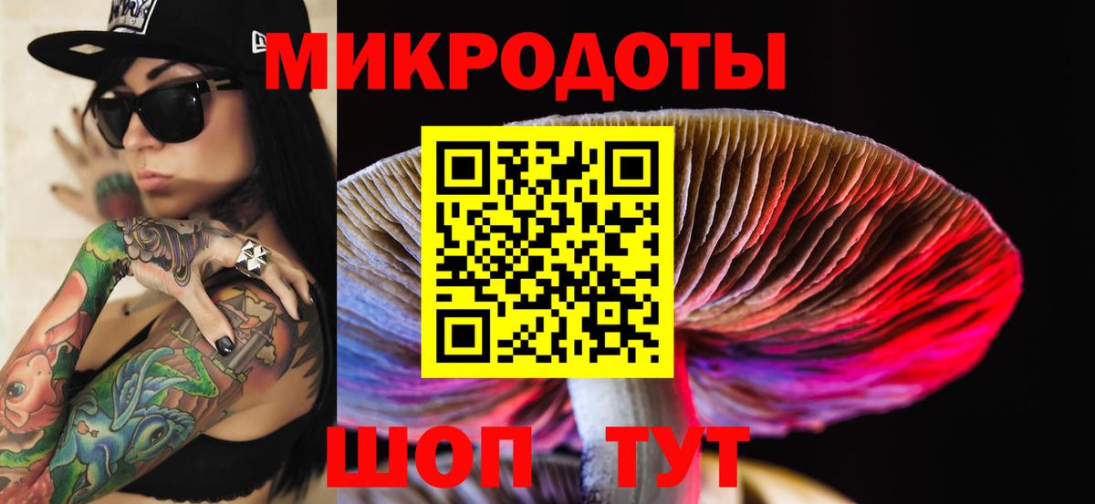 Галлюциногенные грибы Psilocybine cubensis  Вход с VPN  Протвино 